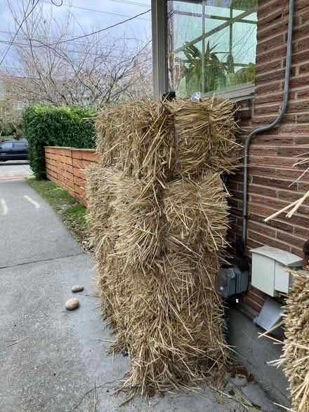 Photo of free Hay Bales (for manger/compost/pets) (Magnolia) #3