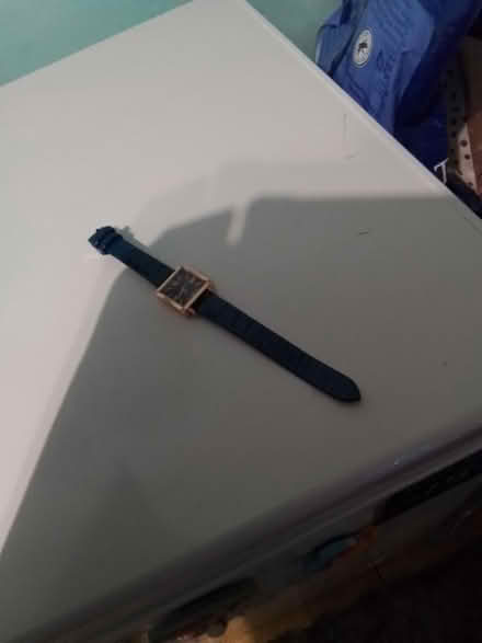 Photo of free Blue watch (Maidenhead SL6) #1