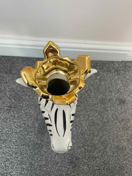 Photo of free Zebra vase (Hitchin, SG5) #3