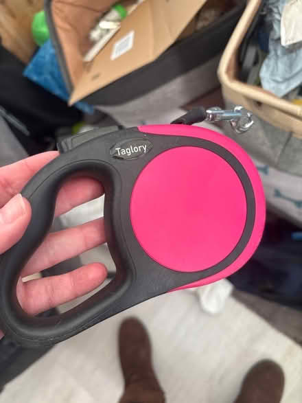 Photo of free dog lead (Brierlow Bar SK17) #1