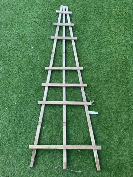 Photo of free Trellis (Dore, S17) #1