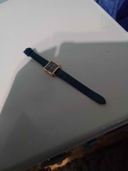 Photo of free Blue watch (Maidenhead SL6) #2