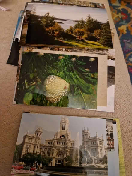 Photo of free Photos (Juniper Green, EH14) #1