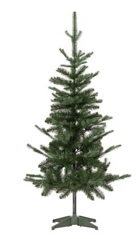 Photo of free Christmas Tree (Kilgobbin Road) #1