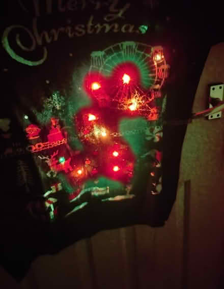 Photo of free Jumper (Denholme BD13) #2