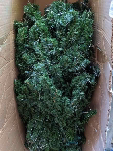 Photo of free Christmas Tree (BD16 cottingley) #1