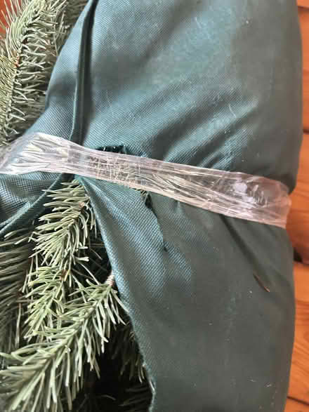 Photo of free Christmas Tree (Kilgobbin Road) #4