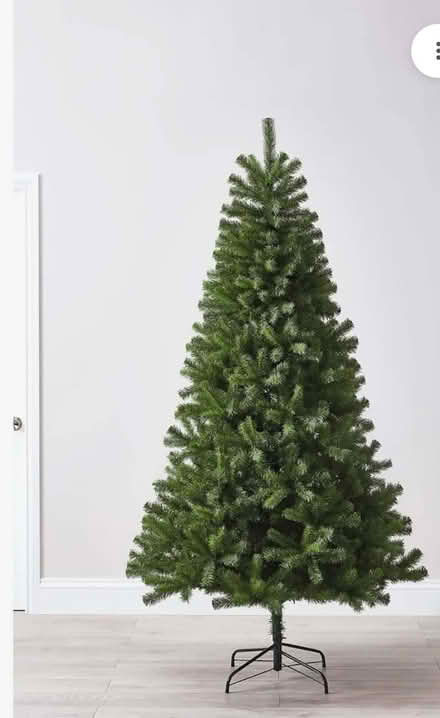 Photo of free Christmas Tree 1.7m high dismounted (Bristol BS7) #1