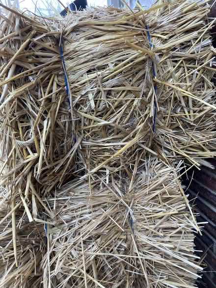 Photo of free Hay Bales (for manger/compost/pets) (Magnolia) #4