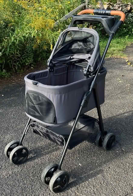 Photo of free pet stroller (Chatham Township) #1