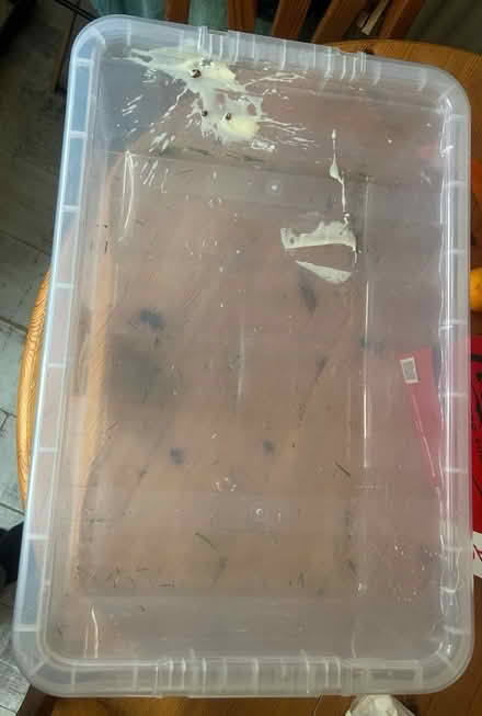 Photo of free Under the bed storage box (PR5 Bamber bridge) #1