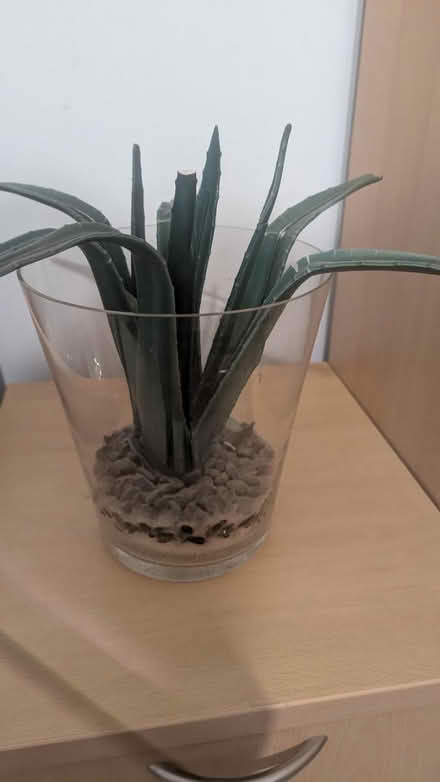 Photo of free Vase with faux plant (RG24 Old Basing) #1