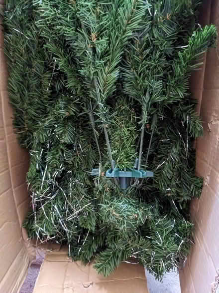 Photo of free Christmas Tree (BD16 cottingley) #3
