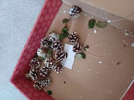 Photo of free Christmas Wreath (Mansfield NG18) #2