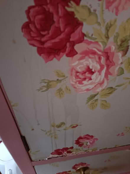 Photo of free Wooden cupboard (Allerton L18) #3