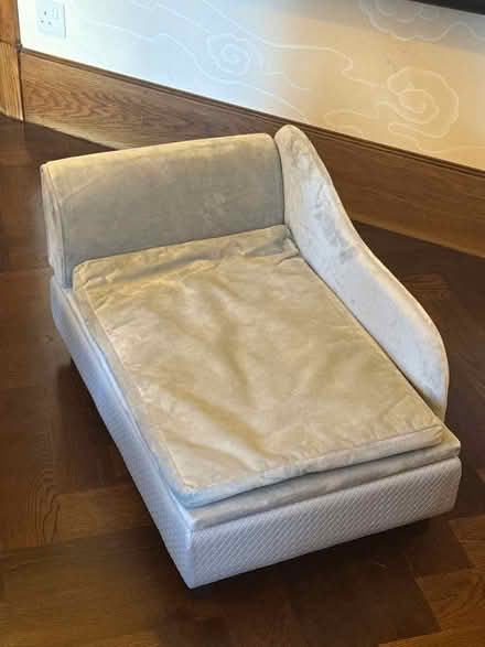 Photo of free Dog bed 75cm x 50 cm (Earls Court SW5) #1