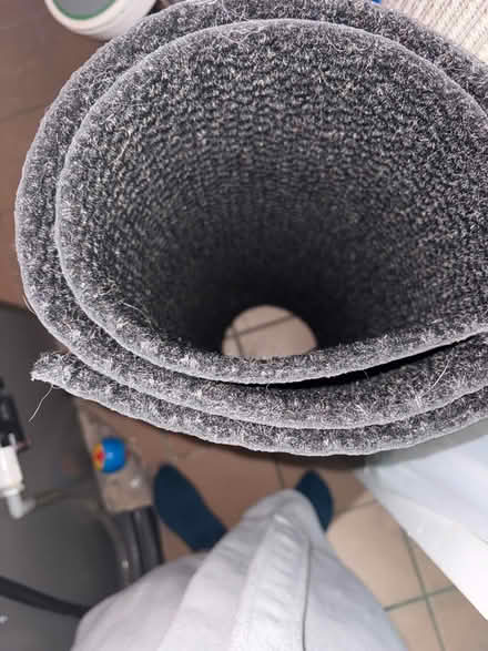 Photo of free Winter carpet (Mavis and Eglinton) #1