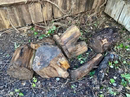 Photo of free Weathered Wood logs (Hatch Warren Farm RG22) #1