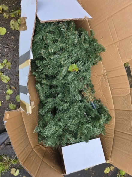 Photo of free Christmas Tree (Lower Gornal DY3) #1