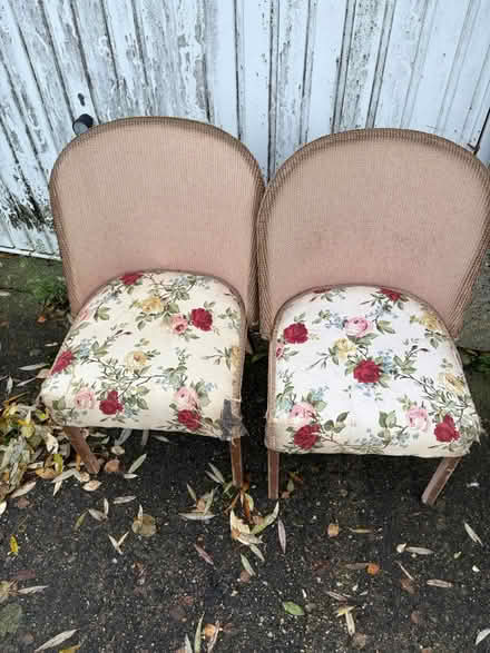 Photo of free Lloyd loom chairs (Faversham ME13) #1