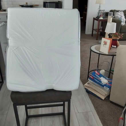 Photo of free New Wedge Pillow (I94/Rawsonville Rd, Willis) #2