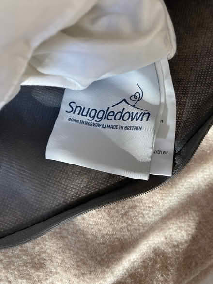 Photo of free Single Down Duvet (Wimbledon Village SW19) #1