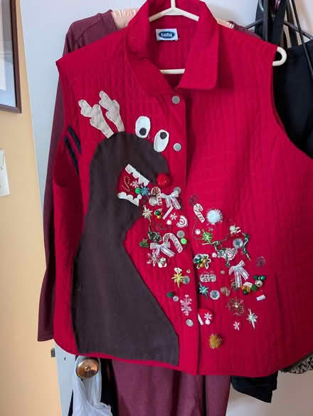 Photo of free Ugly sweater vest large (Lakeview, close to Bayshore) #1