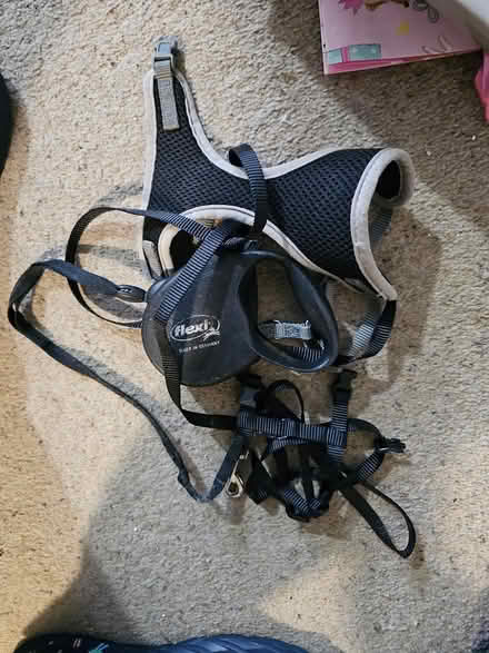 Photo of free Cat harness (EH7) #1
