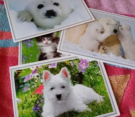 Photo of free Various Xmas and other cards (Colchester CO2) #2