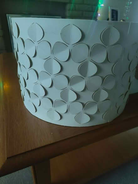 Photo of free Pendant lampshade (Bloomfield) #1