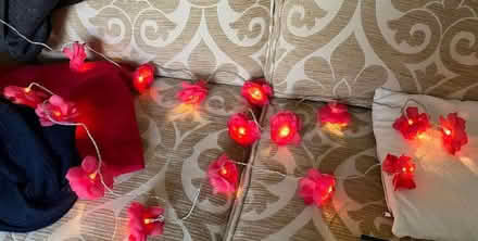 Photo of free Christmas lights with roses (Kennington SW8) #1