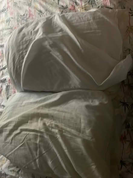 Photo of free Four used Pillows (Gosforth NE3) #1