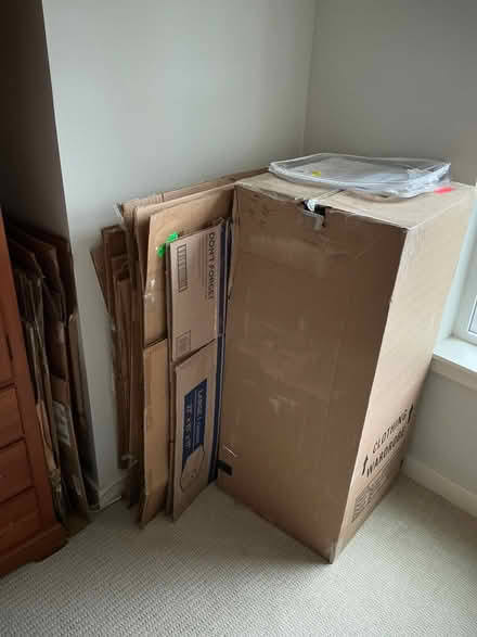 Photo of free Moving boxes (Bainbridge Island) #1