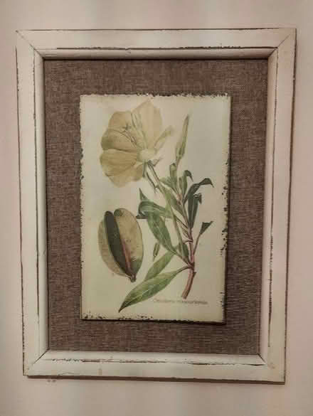 Photo of free Layered botanical picture (Manor Farm KT14) #1