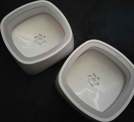 Photo of free Two splash free bowls for dogs (WV11) #1