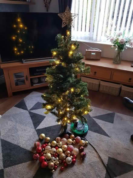 Photo of free 4ft pre lit Christmas tree (Nottingham NG8) #1