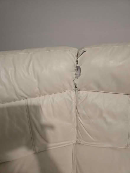 Photo of free Sofa (De21) #3