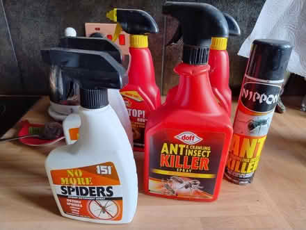 Photo of free Ant killer and spider deterrent (Walderslade Bottom ME5) #1