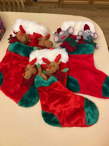 Photo of free Christmas stockings (Madeley TF7) #1