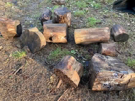 Photo of free Weathered Wood logs (Hatch Warren Farm RG22) #2