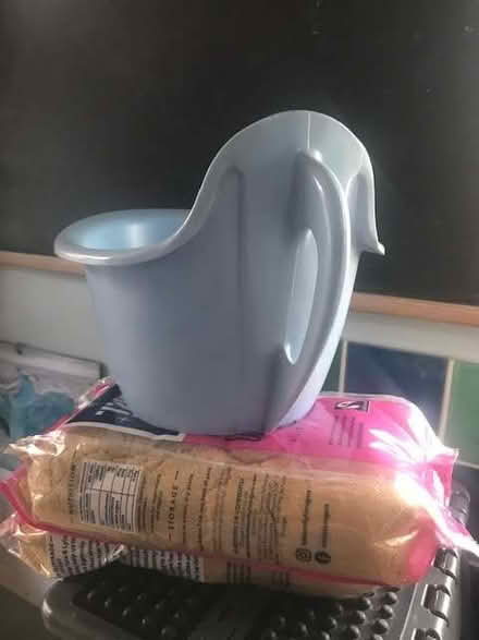 Photo of free 1950's child's potty (Woodley RG5) #2