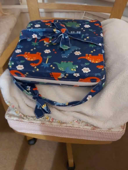 Photo of free 2. Toddler's cushion (YO11 Falsgrave area) #1