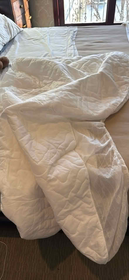 Photo of free Twin mattress cover protector (S Bellmore) #1