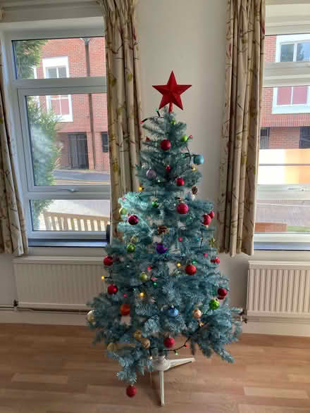 Photo of free Christmas Tree (Marlow Bottom SL7) #1