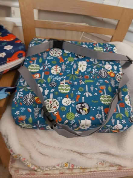 Photo of free 1. Toddler's cushion (YO11 Falsgrave area) #1