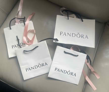 Photo of free Pandora Gift Bags (Bishop’s Stortford CM23) #1