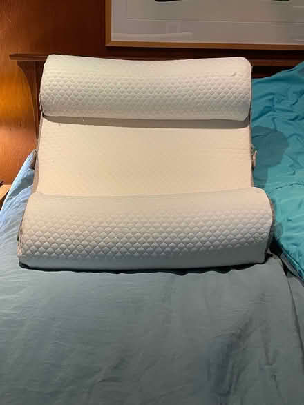 Photo of free Back pillow (Willow Glen - Dry Creek) #1