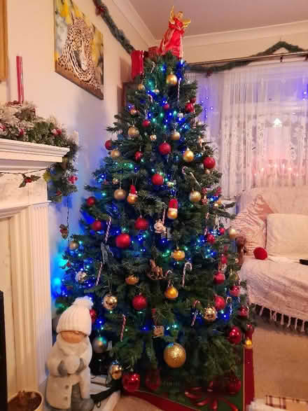 Photo of free 6ft artificial Christmas tree (Norcot RG30) #2