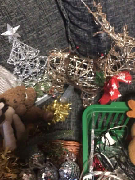Photo of free Christmas things (Wellington) #2