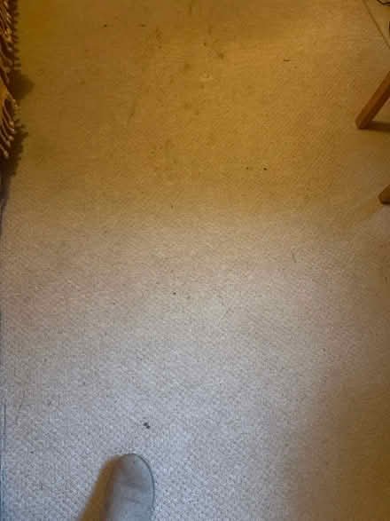 Photo of free old carpet (Bowbridge GL5) #1